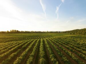 Foment exigeix canvis a l’Agència de la Natura per evitar un greu perjudici en el teixit empresarial català